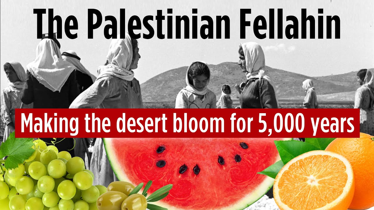 The Palestinian Fellahin: Making the desert bloom for 5,000 years