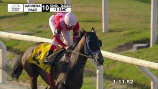 Vidéo de la course PMU PREMIO ROMULO (2019)