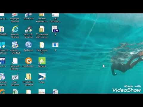 difference between Getch and Getche (programming fundamental)