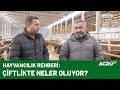 Karaali Çiftliğinde Başarılı Besi İşletmeciliği / AGRO TV