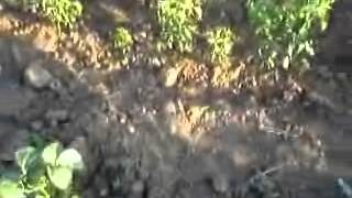 Capture 20130704 9