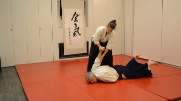 Adults Nikyu 2nd Kyu   Part 2