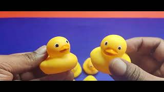 The Duck Sound that's Making EVERYONE Crazy