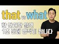 내 학생들이 that과 what을 헷갈리지 않고 잘 쓰는 이유 (관계대명사)