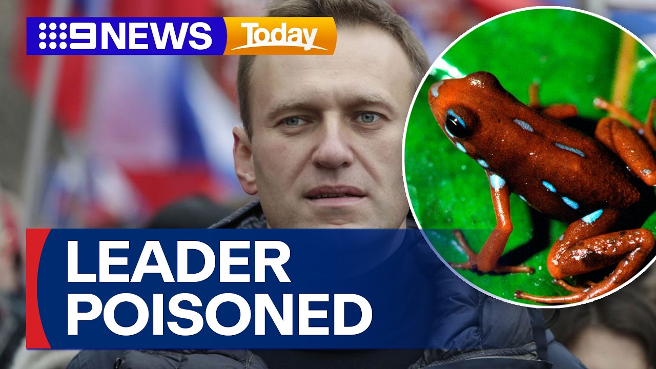 Russian opposition leader 'poisoned to death' | 9 News Australia