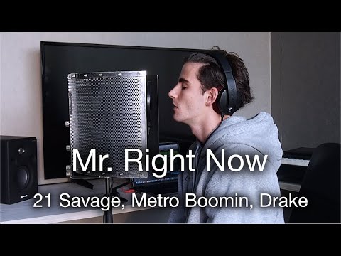 Mr. Right Now - 21 Savage, Metro Boomin, Drake (COVER)