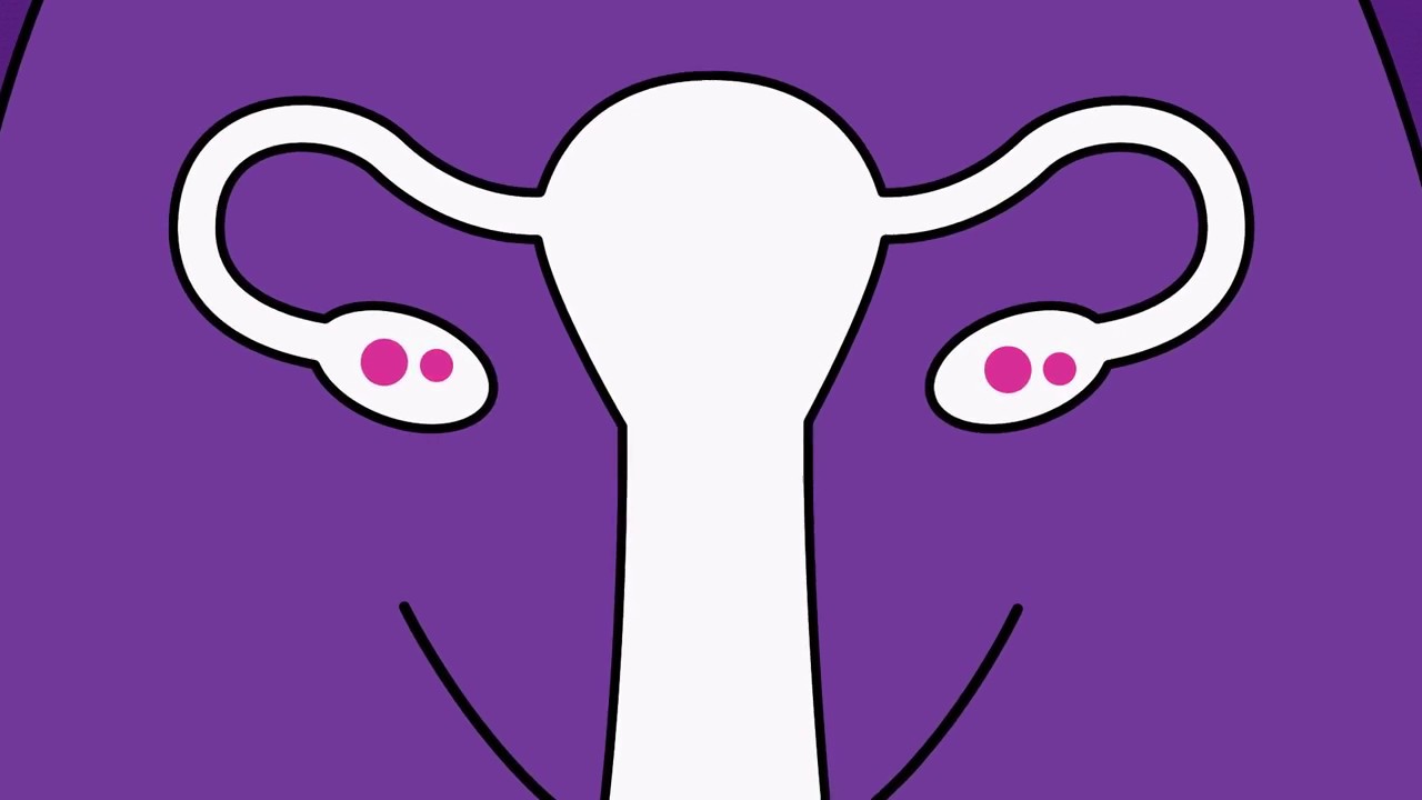 vaginal ring videos Durex penis size
