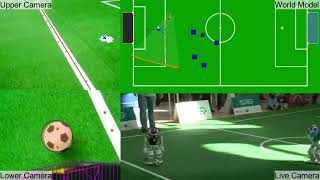 German Open Replacement Event 2022 - Scoring a goal after a pass (Robot View)