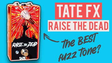 The BEST vintage fuzz tone?  - Tate FX Raise The Dead (Ge)