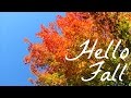 Hello Fall | Jordan Bauth