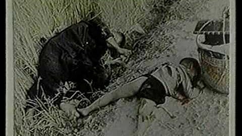 EHL: Exploration 3D - What we did at My Lai