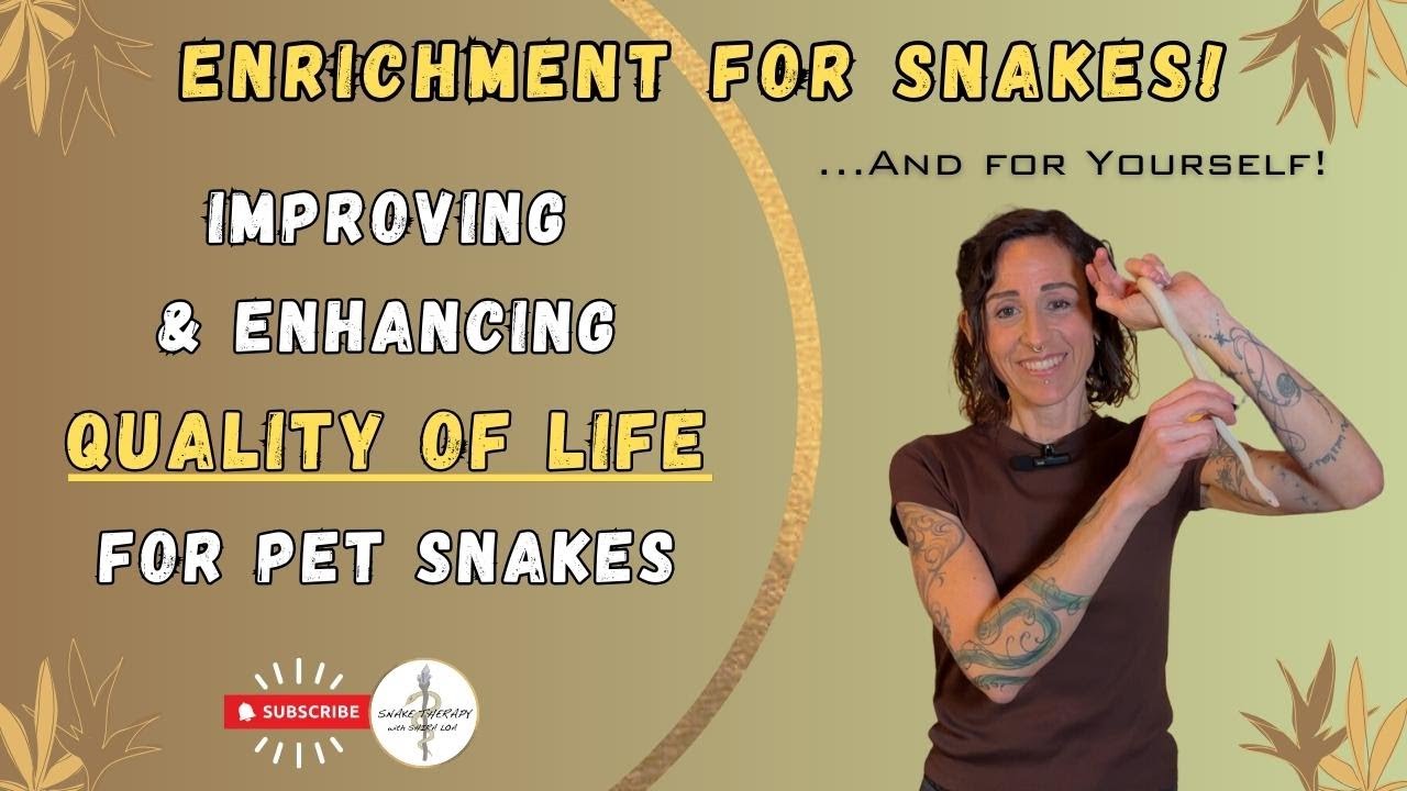 Improving Quality of Life: Enrichment for Snakes... AND Humans! - YouTube