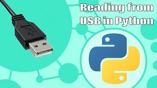 Reading USB in Python