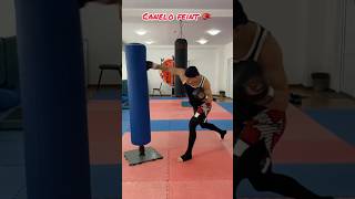Canelo Feint🥊 #Boxing #Boxer #Mma #Training #Canelo