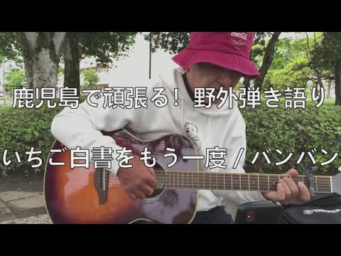 【鹿児島で頑張る！野外弾き語り】いちご白書をもう一度／バンバン　カバー