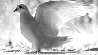 Neka ljubav pobijedi - hor ''Vrapčići'' i hor ''Banjalučanke''