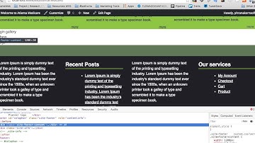 WordPress Theme Creation With Underscores : Footer session 2 #7