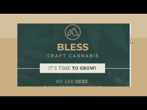 Investors Pitch Desk: The Story of Bless - Cannabis Startup