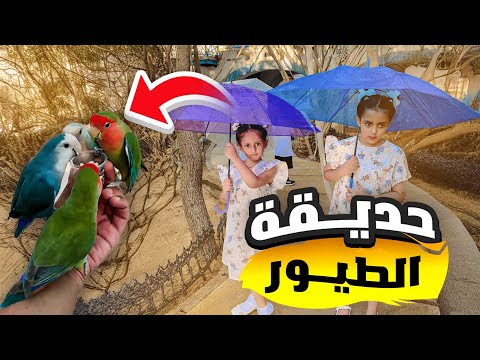 البنات خافوا من الطيور توتو ولولو