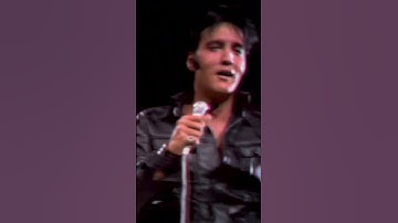 Thumbnail of question of the day: what is Elvis chuckling at here?? 😍😂