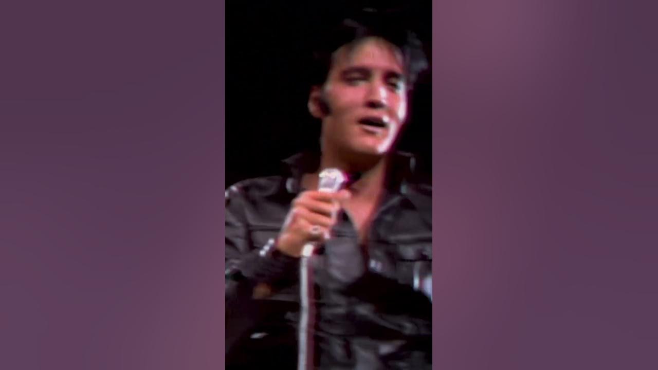 question of the day: what is Elvis chuckling at here?? 😍😂