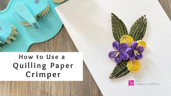 EIRZNGXQ Paper Crimper Paper Craft Tools, Paper Crimper Tool, Crinkle Paper  Craft for DIY Arts and Scrapbooking