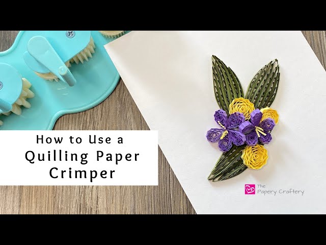 Quilling Kits - Quilling Tools and Supplies,Paper Crimper,Quilling Paper  blue 791281885621