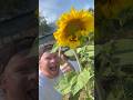 Дача это кайф! #дача #огород #природа #прикол #смешно