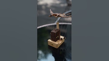 🌊 Wooden Manta Ray Automata — Moyustore