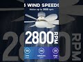 Ceiling Fan with Light 3 color Ceiling Bulb Light with 3 speed wind speed silent fan for Bedroom