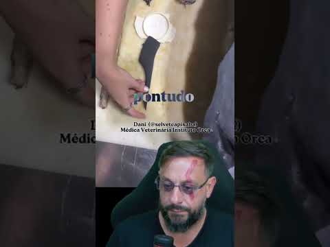 O caso da Orca e o Lixo plástico #biologohenrique #animais #bichoesperto #biologo