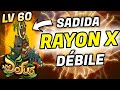 NOUVEAU SADIDA OMNISCIENT LV60 SUR DOFUS