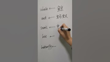 Learn chinese for beginners : Ant #Shorts #learnmandarin #learnchinese #chinese #mandrain #china #3