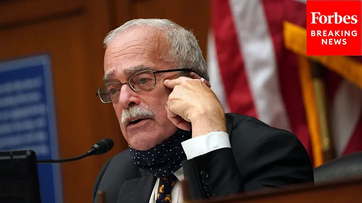 Gerry Connolly Asks Witness If The US Should Arm T...