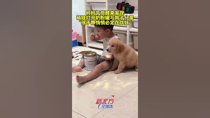 媽媽午覺醒來發現 萌娃打開奶粉罐與狗子分享 「孩子靜悄悄必定在作妖」  #新聞 #真實事件 #shorts - 天天要聞