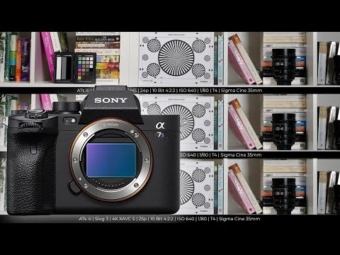 Sony A7s III | Which mode looks best?