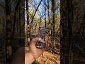 Pokémon Phantasmal Flames x Bonham State Park - Gnarly Root Trail