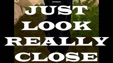 [SSO] Randomness part 1