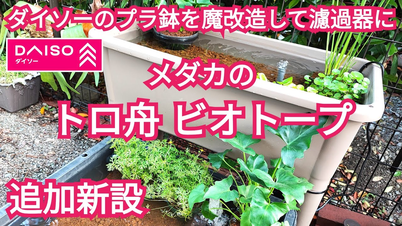 New biotope added for killifish in a plastic tub. - YouTube