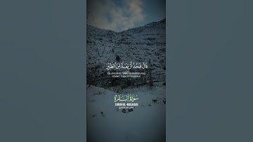 ‏وإذا قال إبراهيم رب أرني كيف تحيا موته  القارئ الشيخ ياسر الدوسري ♥️ #المصحف #اكسبلور ￼￼