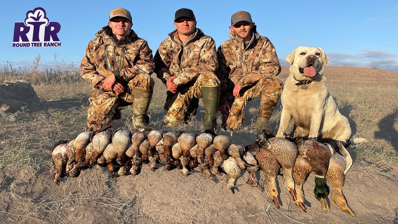 30 Minute 6 Man Limit - Crazy Teal Action - Kansas Duck Hunting 2021