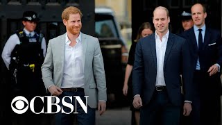 Royal historian makes claims about Prince Harry and Prince William's alleged fallout