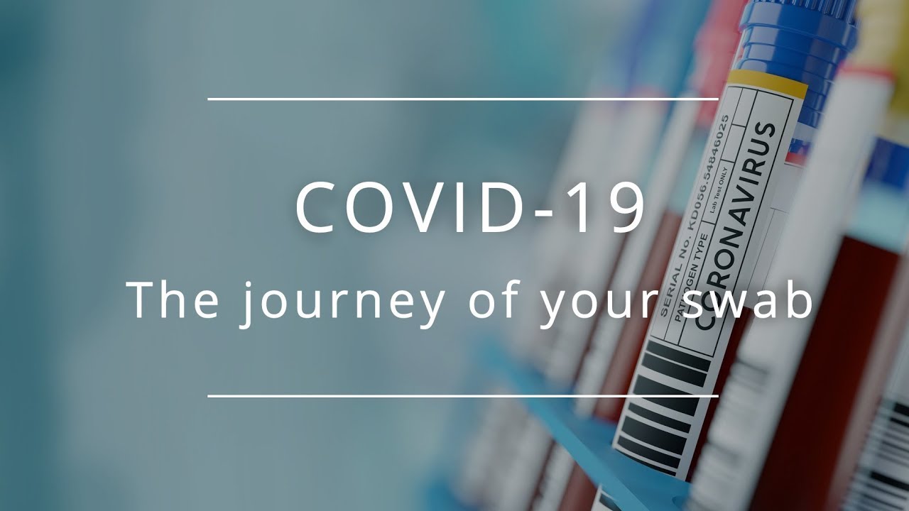 Covid 19 The Journey Of Your Swab Test Youtube