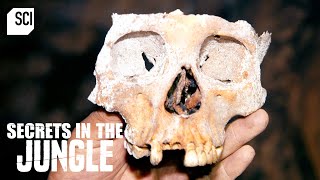 Thousands of Human Bones Found in Belizean Cave | Secrets in the Jungle | Science Channel by Science Channel 15,306 views 1 month ago 11 minutes, 12 seconds