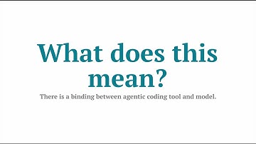 Agentic Coding Ecosystem 2025