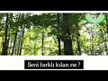 TESL聴M OLMADAN YOL ALINMAZ TESL聴M OLMADAN YOL ALINMAZ