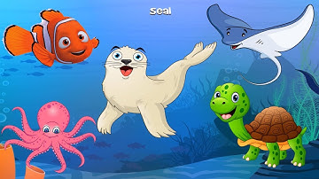 Các con vật sống dưới nước hay nhất| Dạy bé học online