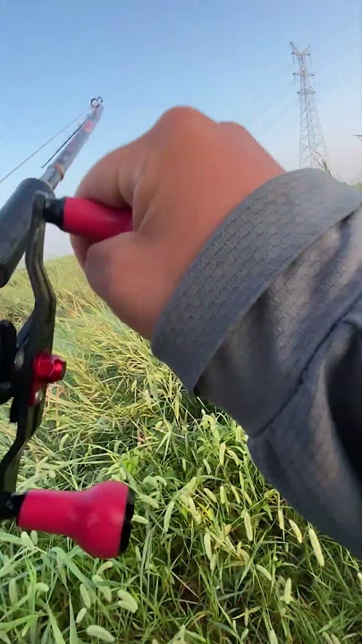 Beside of electric poll big hit by fake lure fishing.wait for the result.#lurefishing