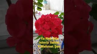 Ya Rab Şifa Isteriz Ilahisi. F.mehmet Şen Kanalımda.