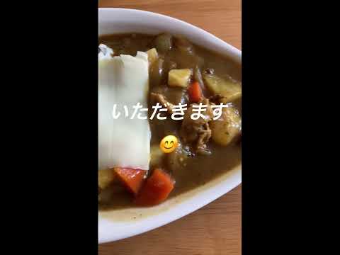 カレーライス ハウス食品 Shorts 熊木杏里